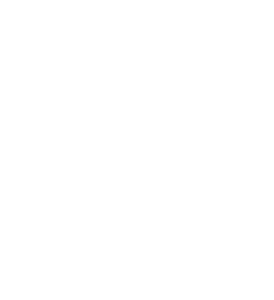 Narusa Logo